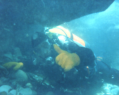 Seadart Diver Bob entering overhang underwater.