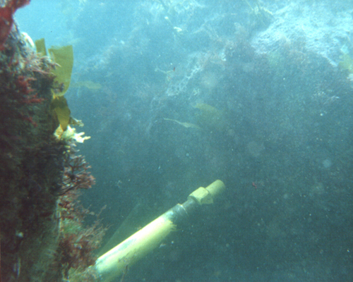 Hydaulic jack holding back a bolder underwater.