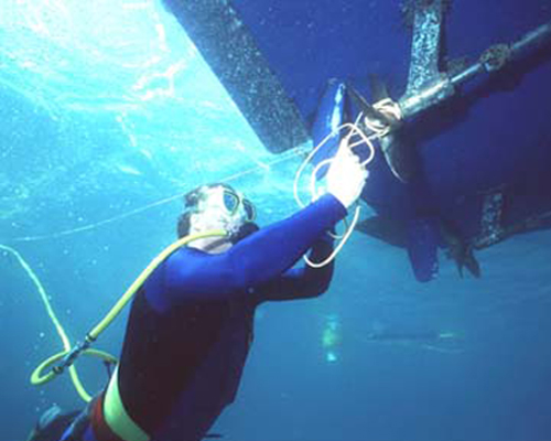 Diver using Powerdive product.