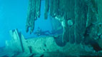 Divers on shipwreck