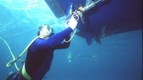 Diver working with Surface Fed Air system.